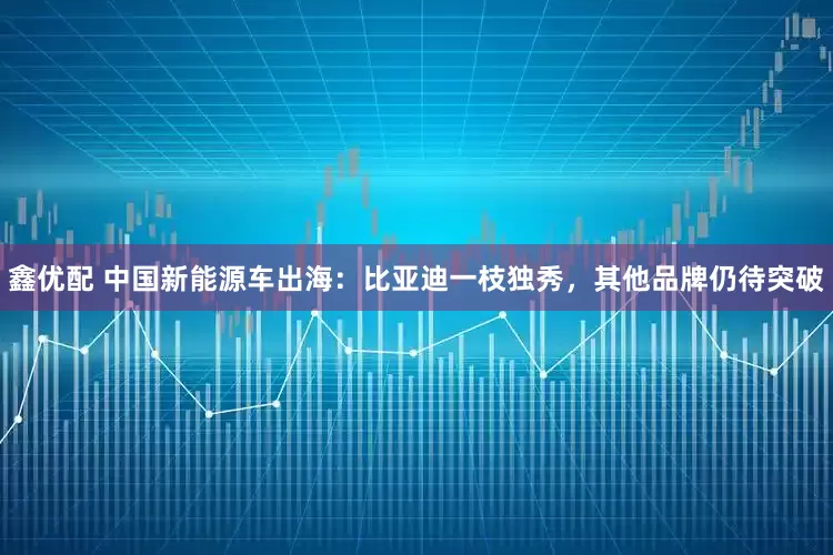 鑫优配 中国新能源车出海：比亚迪一枝独秀，其他品牌仍待突破